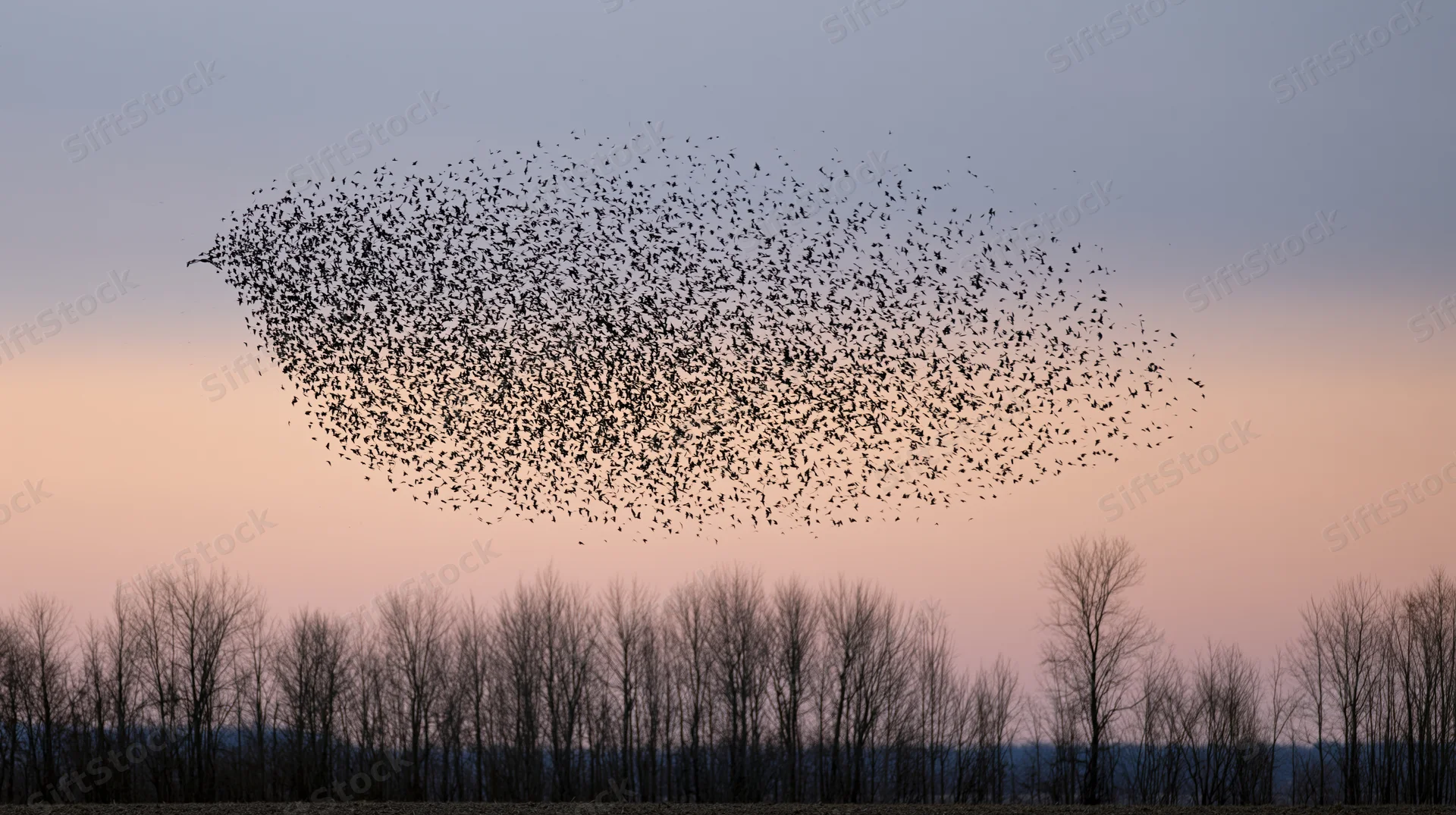 Murmuration of starlings forming a bird-like shape in twilight sky above bare trees