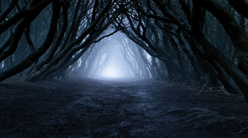 Narrow dirt path through dark forest tunnel with misty light at end