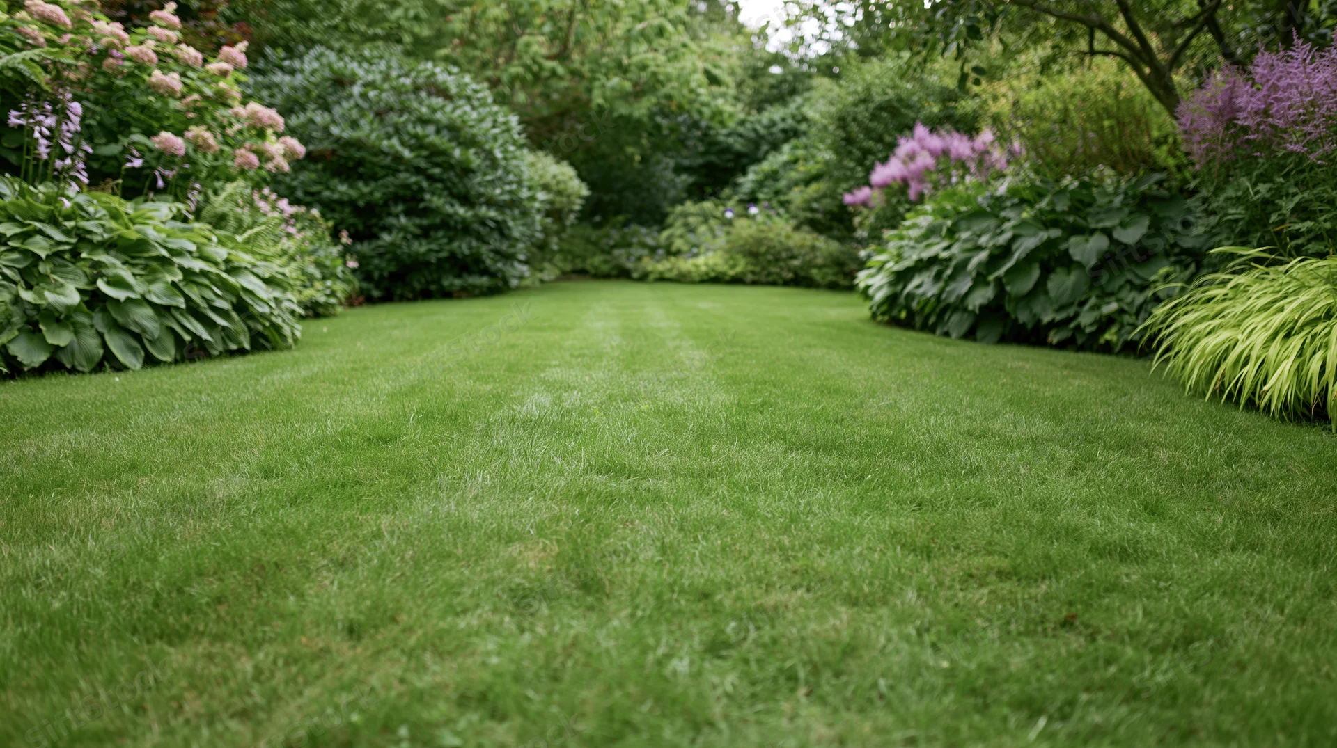 Neatly mowed green lawn bordered by dense shrubs and flowering plants in a private garden