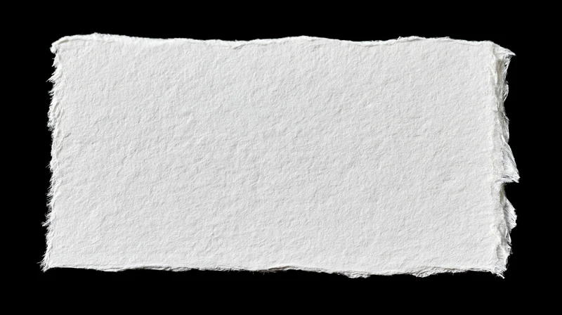 Torn white paper sheet with rough edges isolated on black background