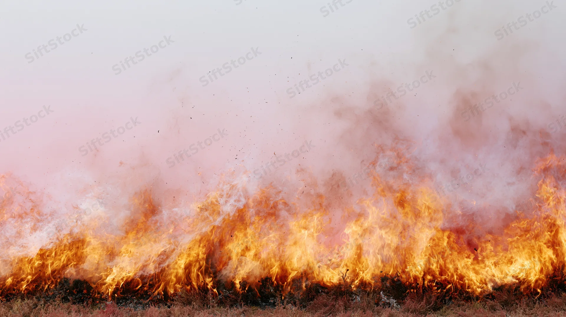 Intense flames burning across dry grassland under hazy sky