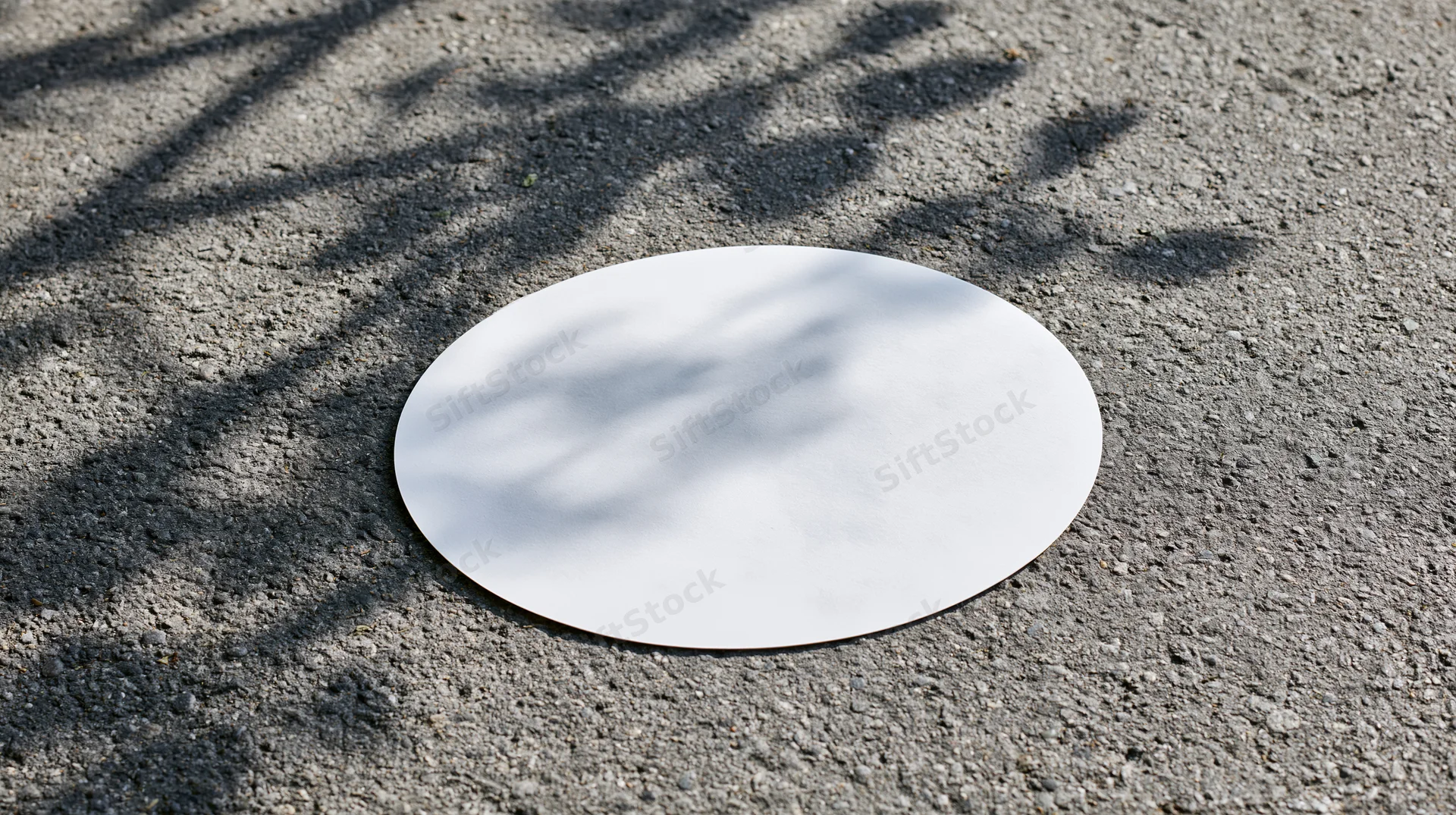White oval decal sticker lying flat on rough grey asphalt pavement outdoors under tree shadows