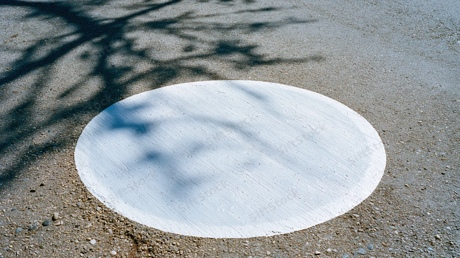 White oval painted on gray asphalt pavement with tree shadows