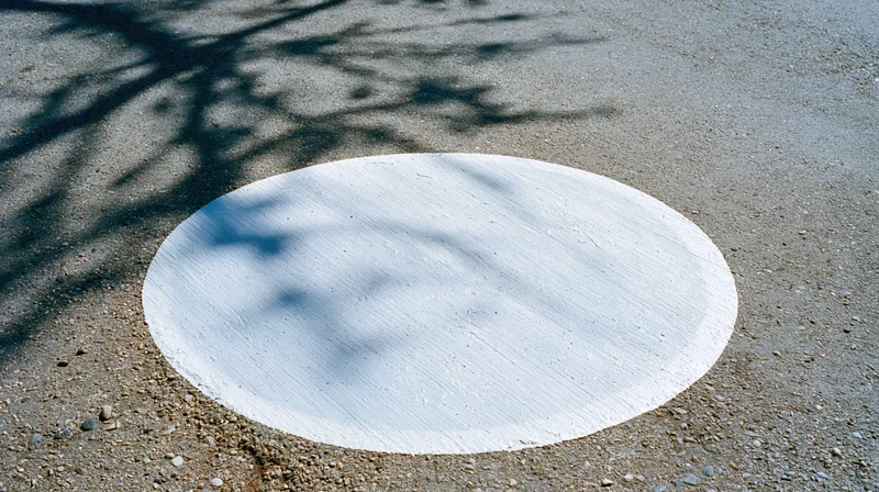 White oval painted on gray asphalt pavement with tree shadows