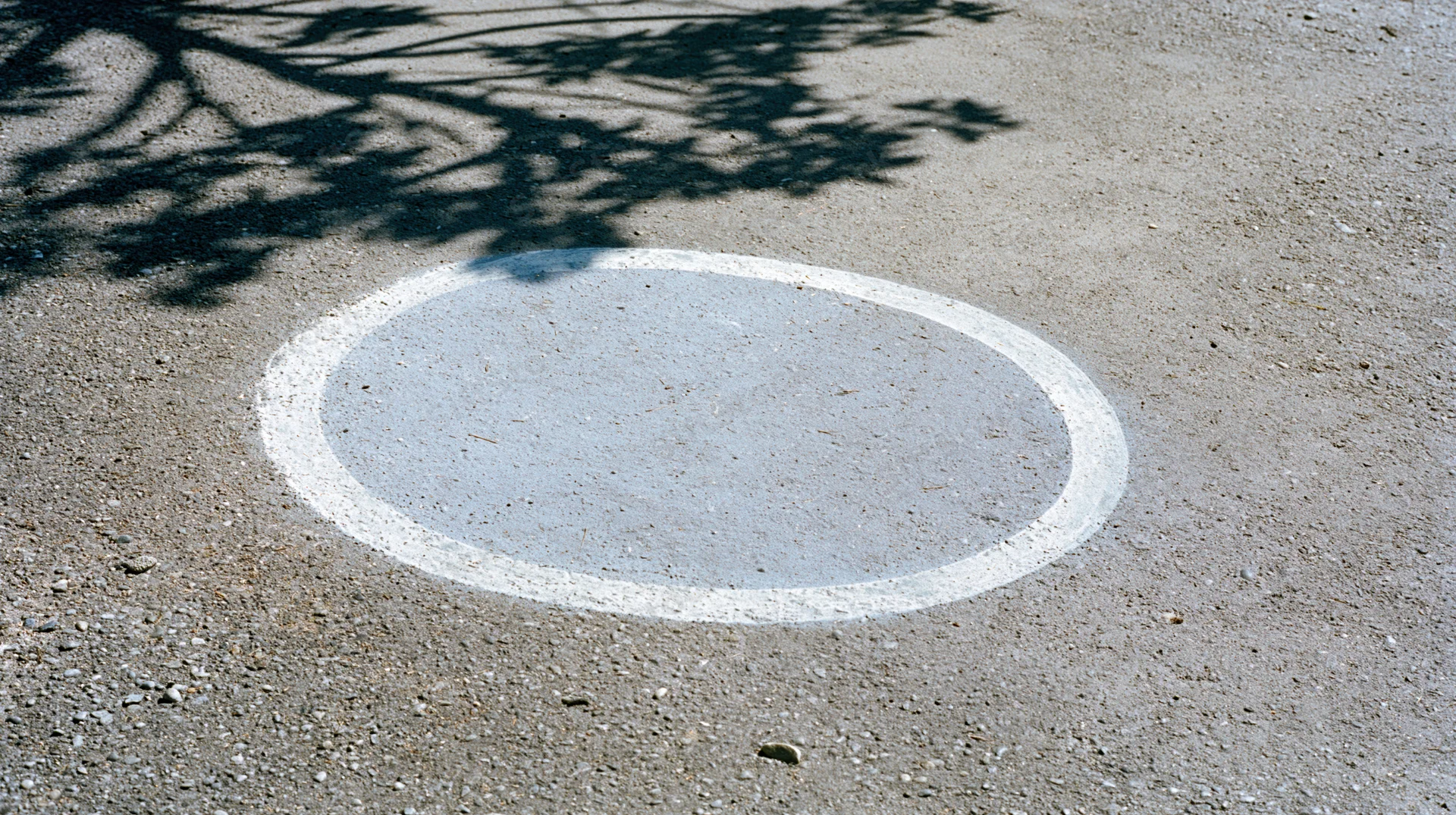 White oval painted on gray asphalt pavement with tree shadow overhead