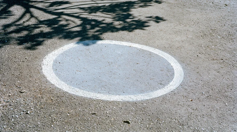 White oval painted on gray asphalt pavement with tree shadow overhead