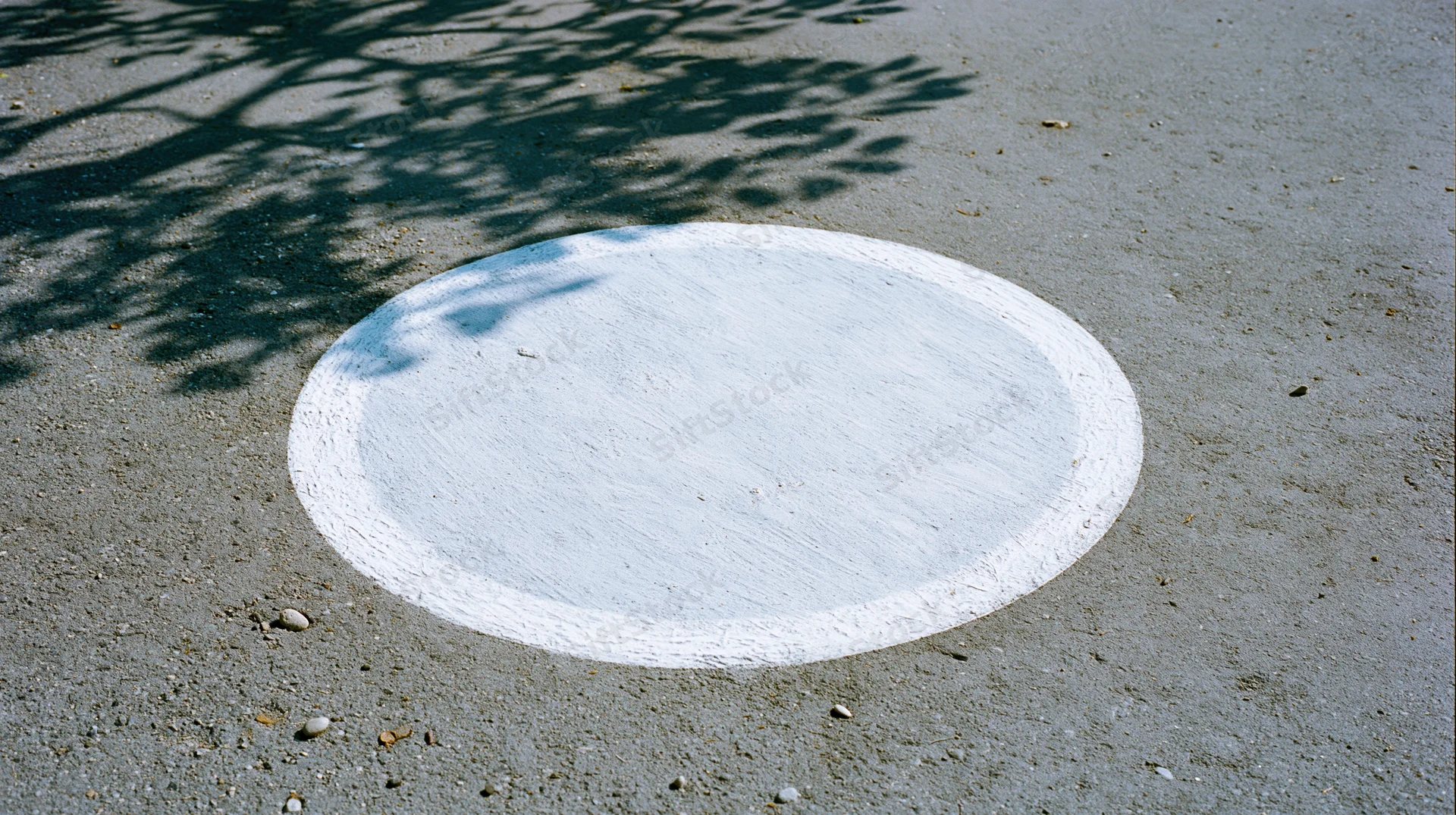 White painted circle on gray asphalt pavement with tree shadow