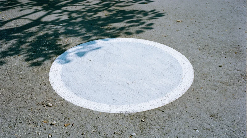 White painted circle on gray asphalt pavement with tree shadow