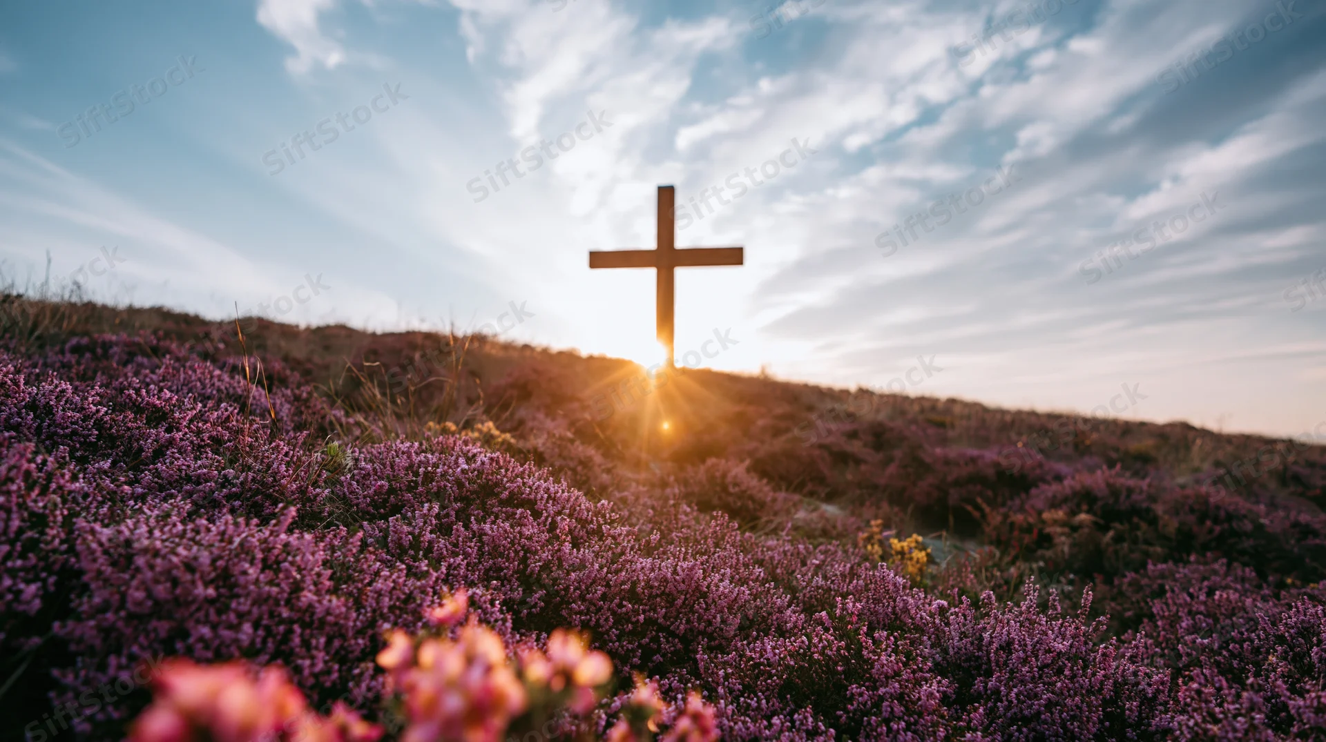 Wooden cross silhouetted against sunset on a hillside covered in blooming purple heather
