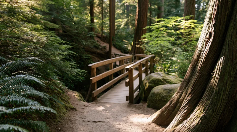 Wooden footbridge crossing a dirt trail in a redwood forest surrounded by ferns and tall trees