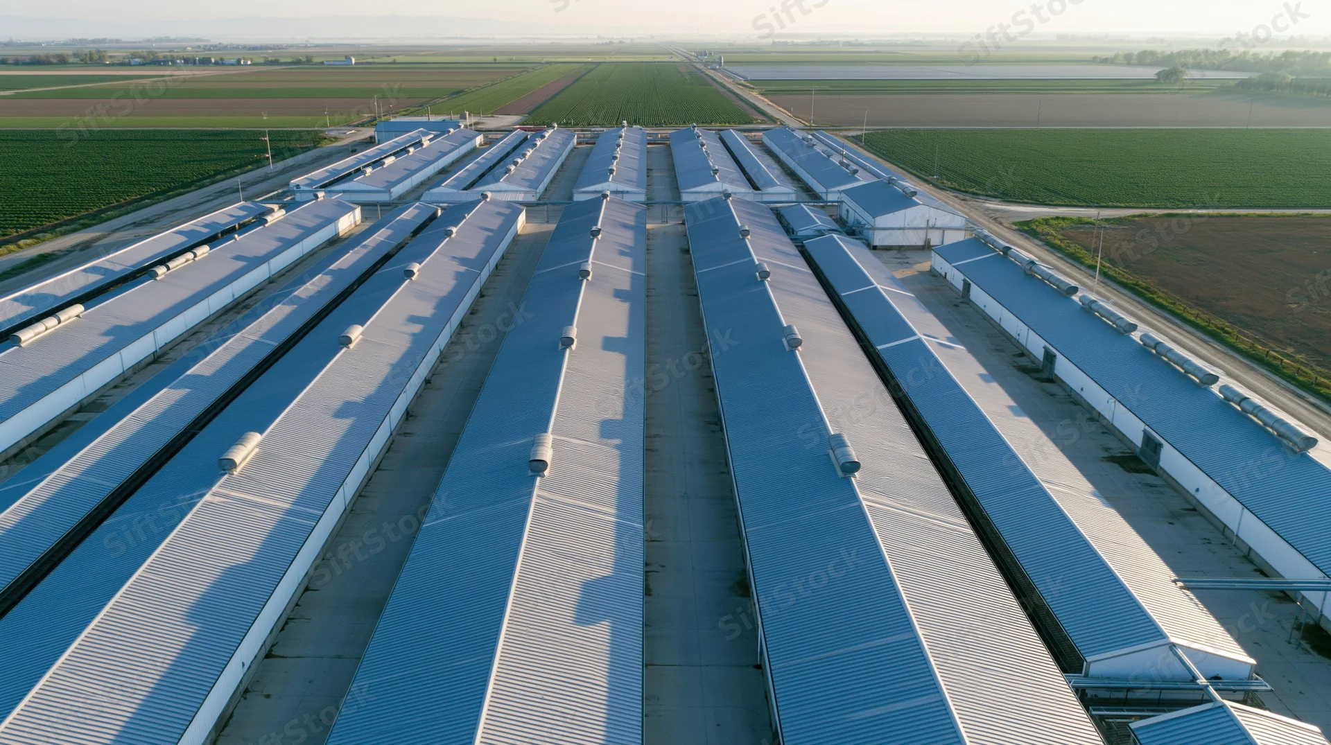 Aerial view of rows of greenhouses on farmland with fields and pathways surrounding them