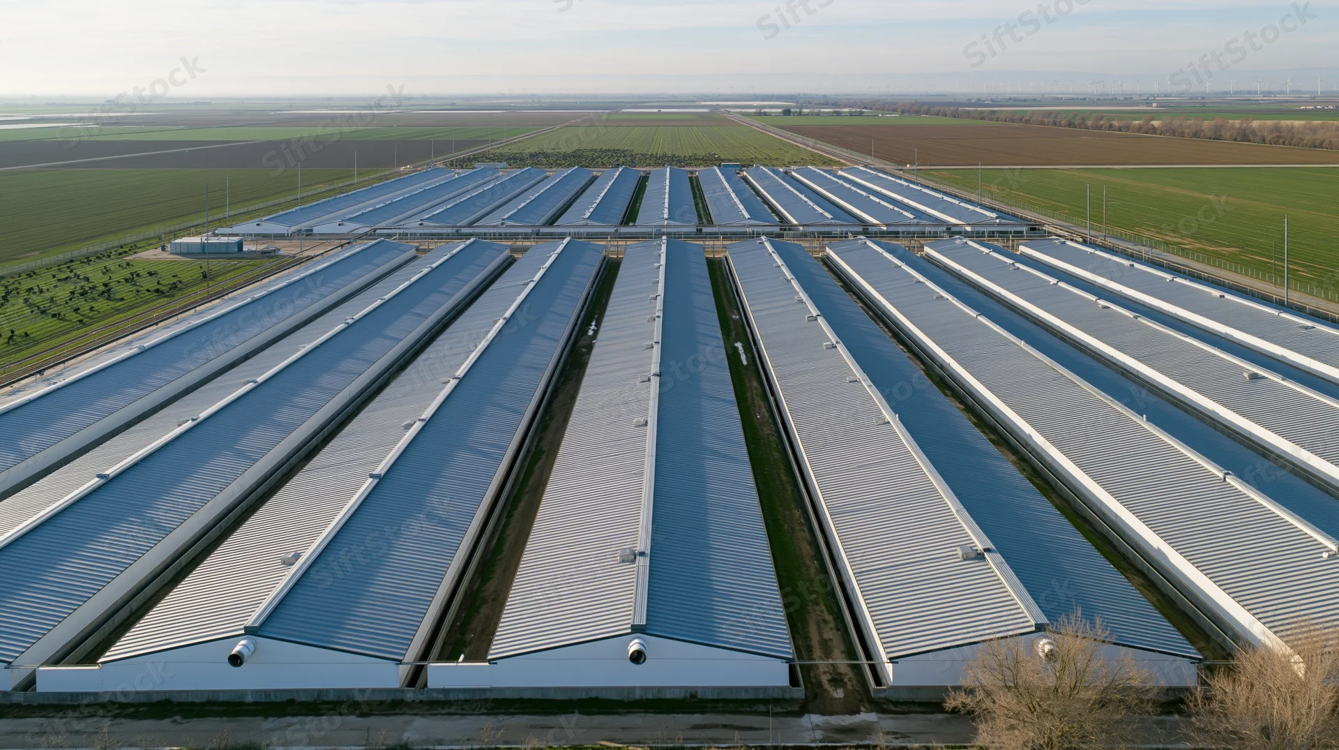 Aerial view of large greenhouse complex with metal roofs aligned in rows on farmland