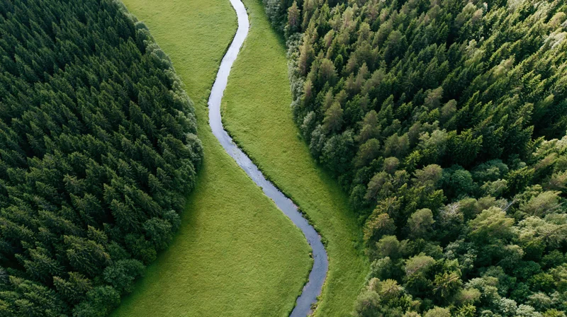 Winding river flowing through dense forest and green meadow from aerial view