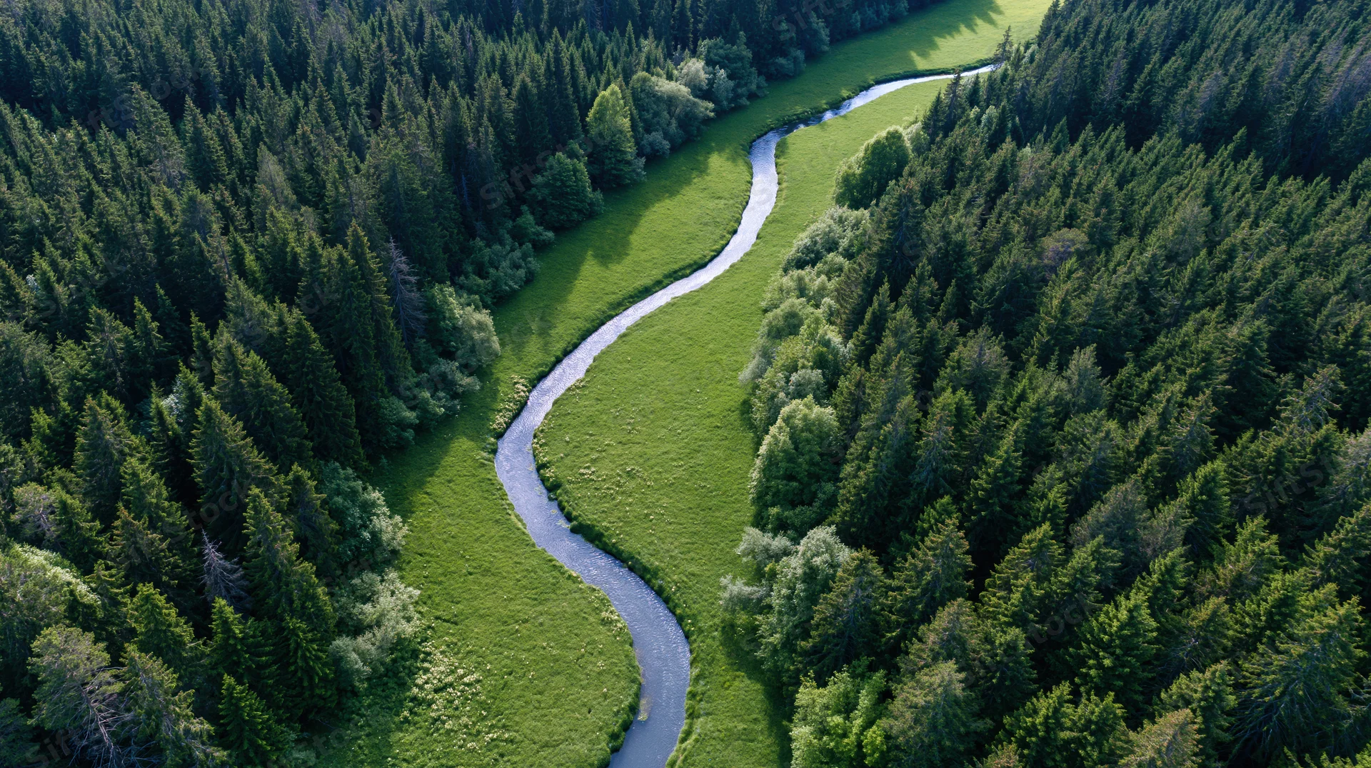 Aerial view of a winding river flowing through a dense forest and green meadow