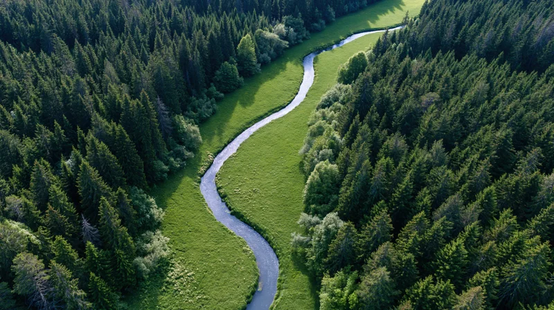 Aerial view of a winding river flowing through a dense forest and green meadow
