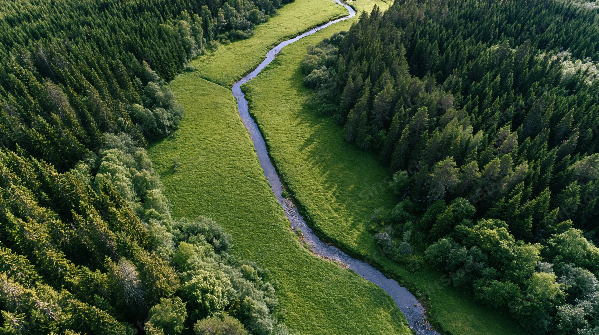 Aerial view of a winding river flowing through a green meadow surrounded by dense forest