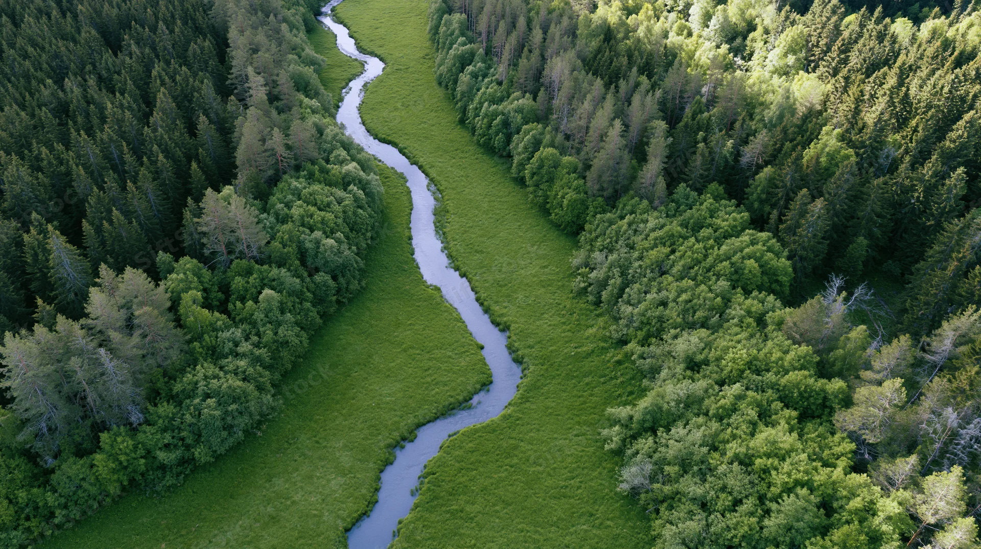 Aerial view of a winding river flowing through a dense green forest and grassy meadow