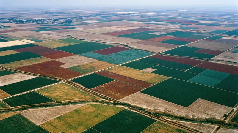 Aerial view of vast agricultural fields arranged in a geometric patchwork pattern across rural countryside