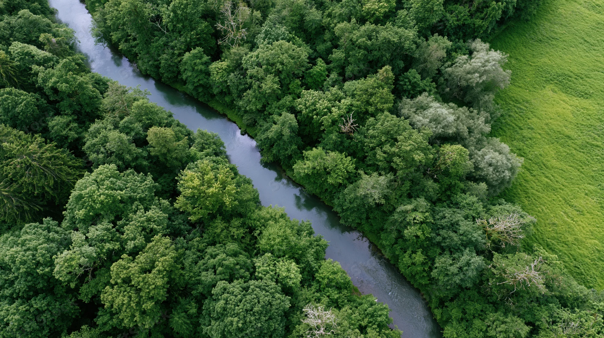Aerial view of a winding river through dense green forest and grassy meadow