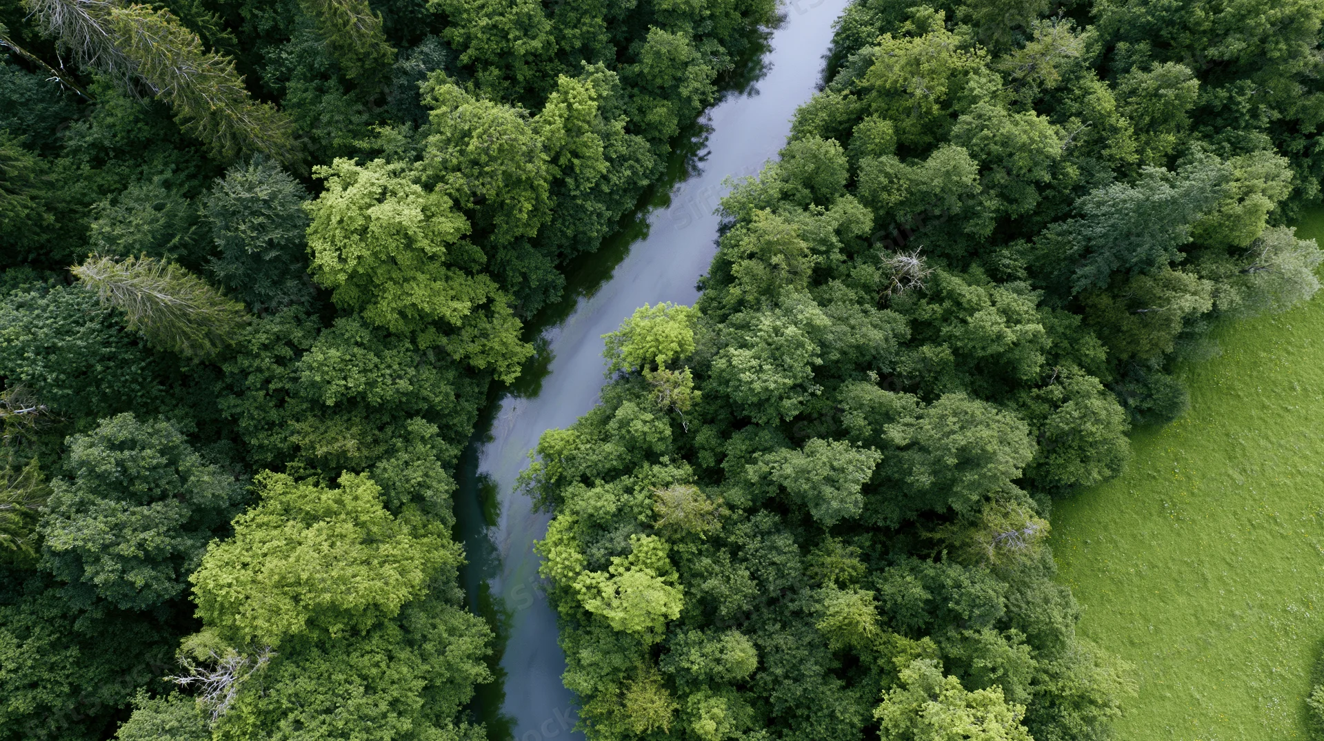 Aerial top-down view of a winding river flowing through dense green forest and grassy meadow