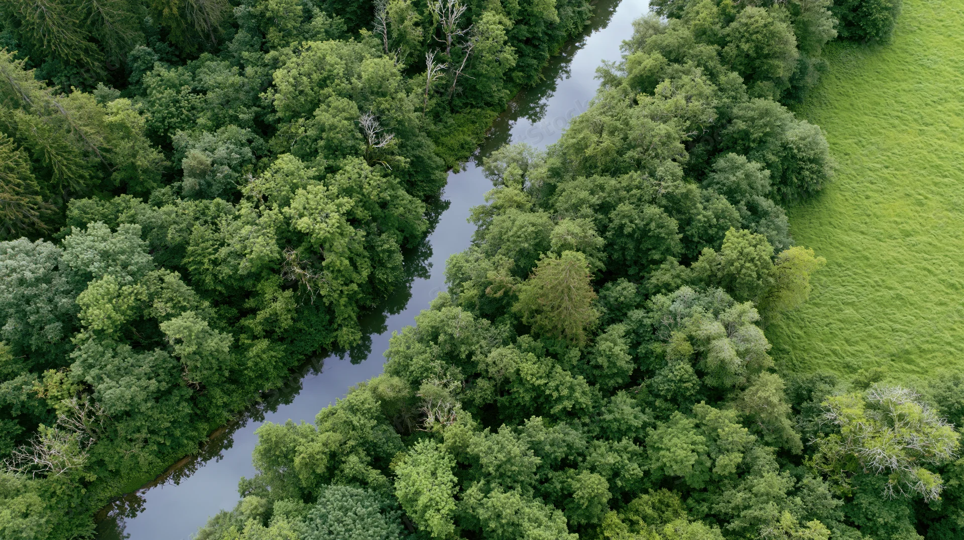 Aerial top-down view of a winding river through dense green forest and grassy meadow