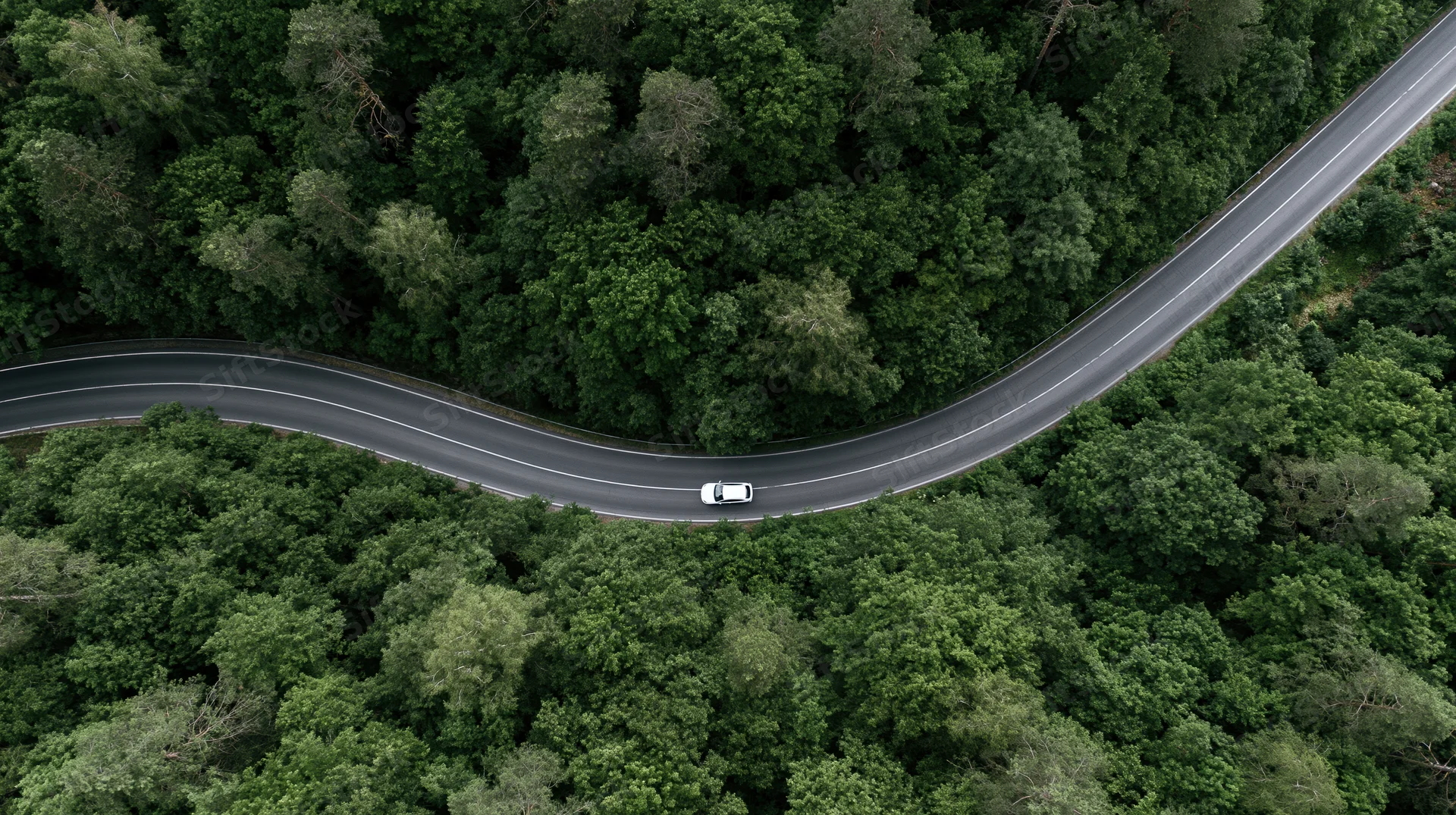 White car driving on winding road through dense forest from aerial view