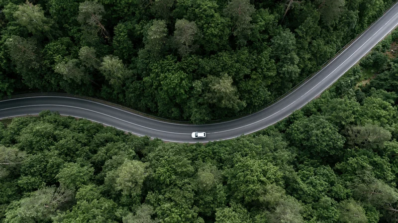 White car driving on winding road through dense forest from aerial view