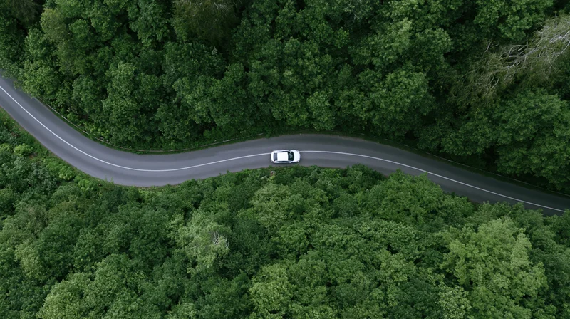 White car driving on winding road through dense green forest from aerial top-down view