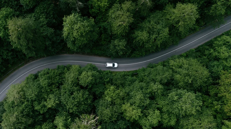 White car driving on winding road through dense forest from aerial top-down view