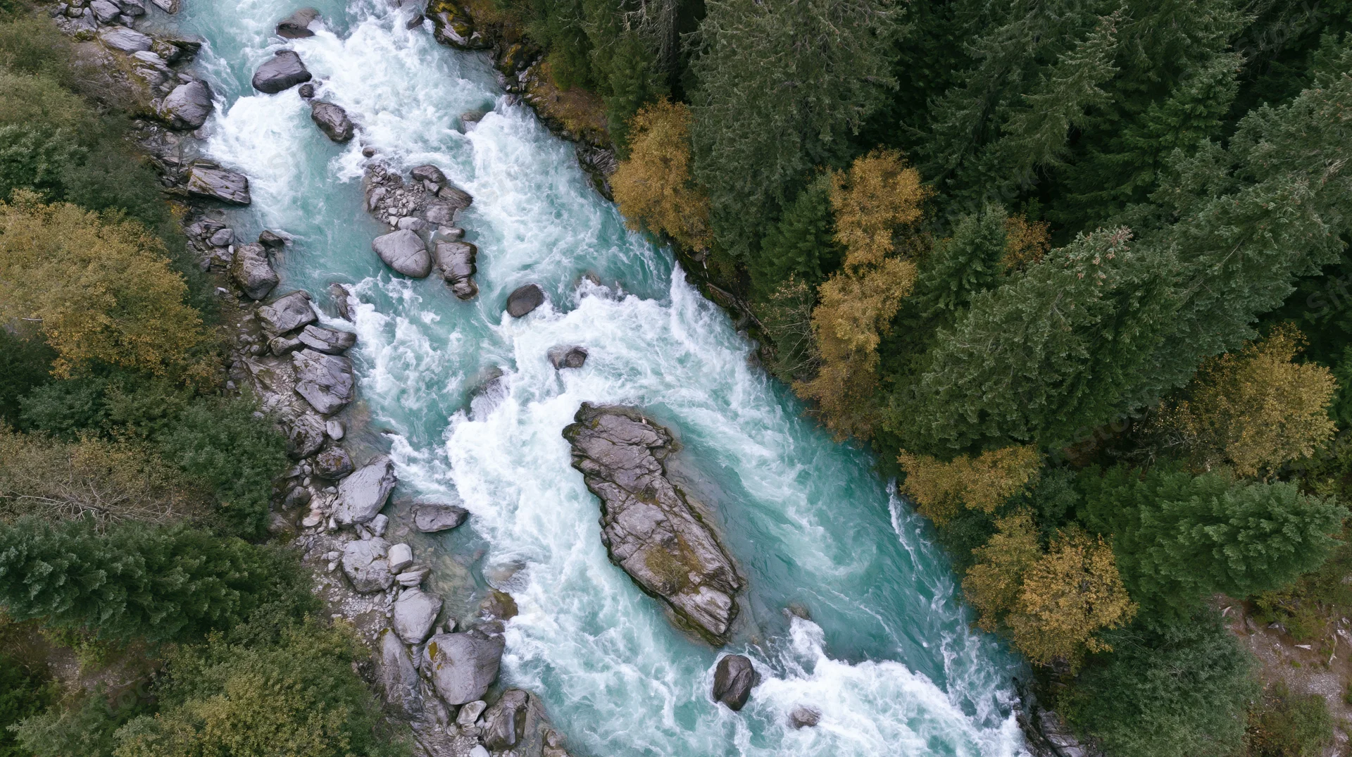 Aerial top-down view of a glacial turquoise river rushing through a forested canyon with autumn foliage and rocks