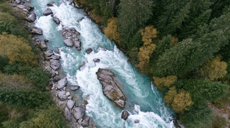 Aerial top-down view of a glacial turquoise river rushing through a forested canyon with autumn foliage and rocks
