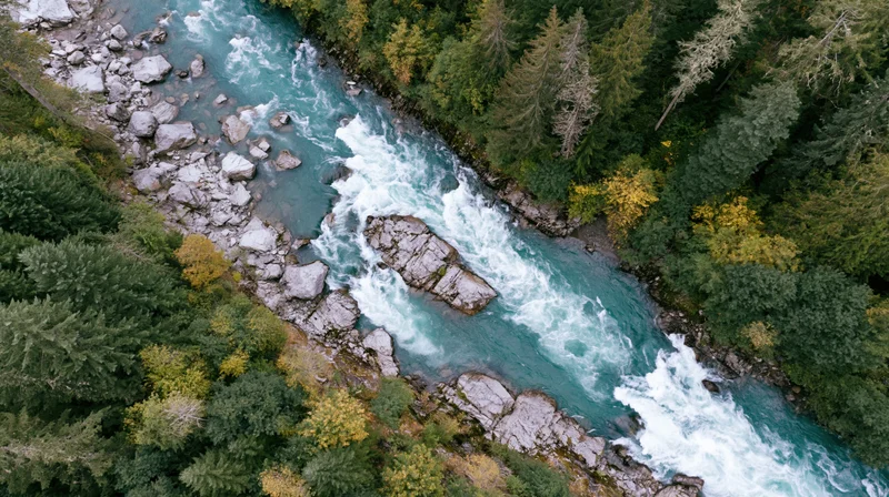 Aerial top-down view of a turquoise river rushing through a forested canyon with autumn foliage and rocky banks