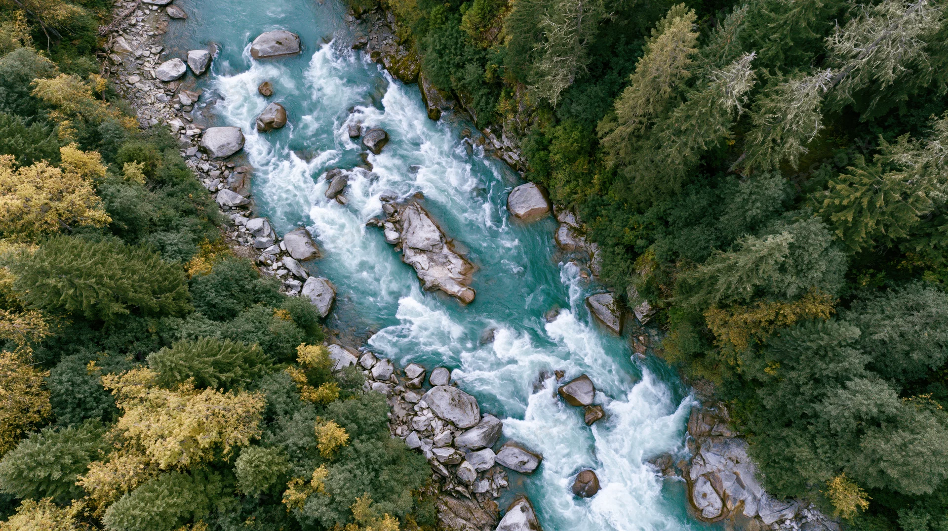 Aerial top-down view of a glacial turquoise river rushing through a forested canyon with rocks and autumn foliage