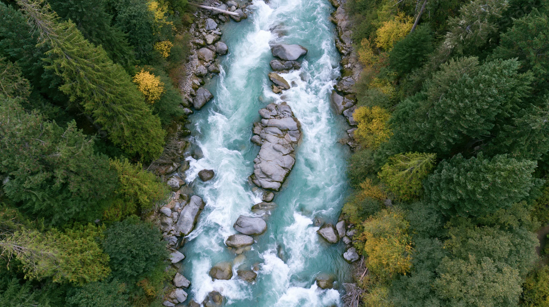 Aerial top-down view of a glacial turquoise river rushing through a forested canyon with autumn foliage and rocks