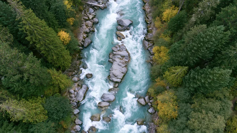 Aerial top-down view of a glacial turquoise river rushing through a forested canyon with autumn foliage and rocks