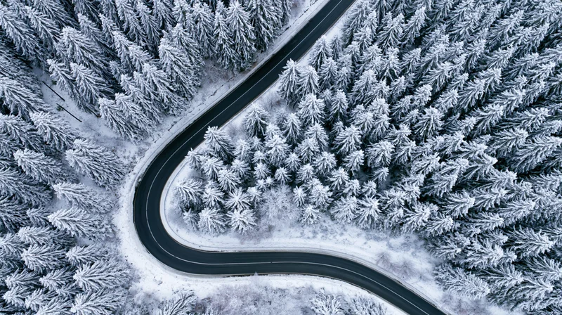 Aerial view of a winding two-lane road cutting through a forest