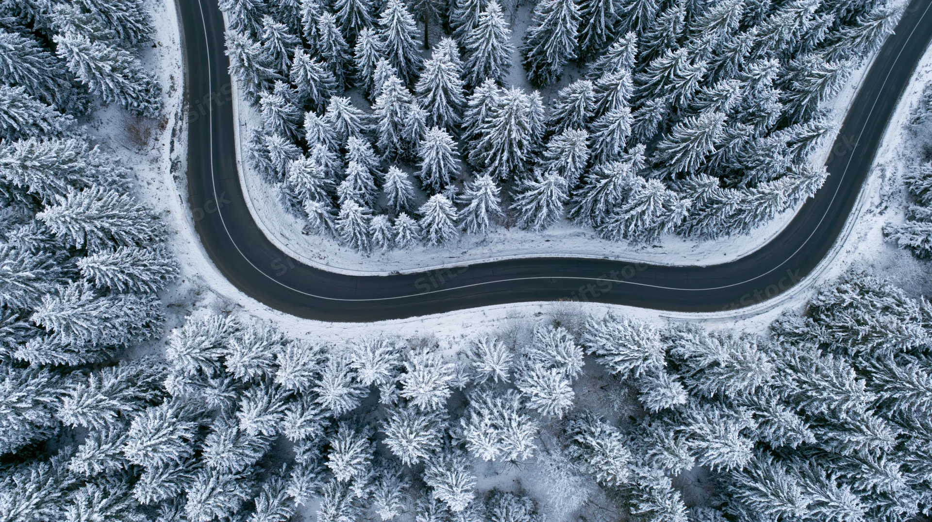 Winding road cutting through snow-covered pine forest from above