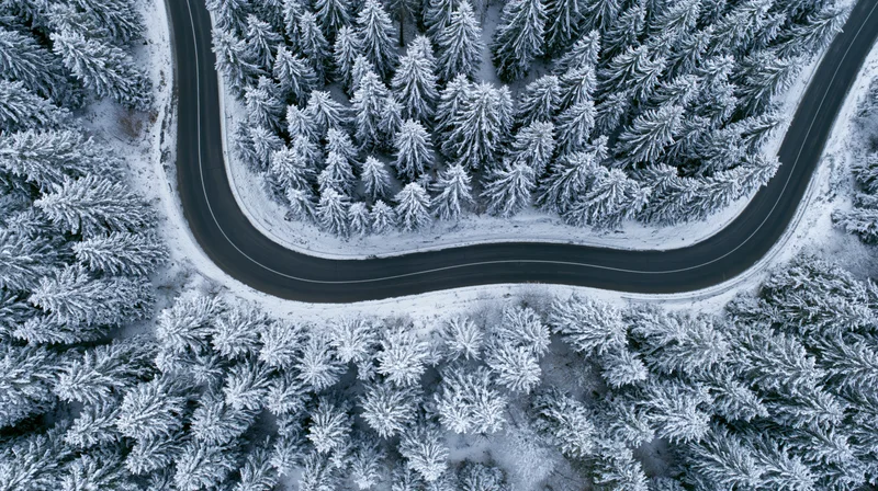Winding road cutting through snow-covered pine forest from above