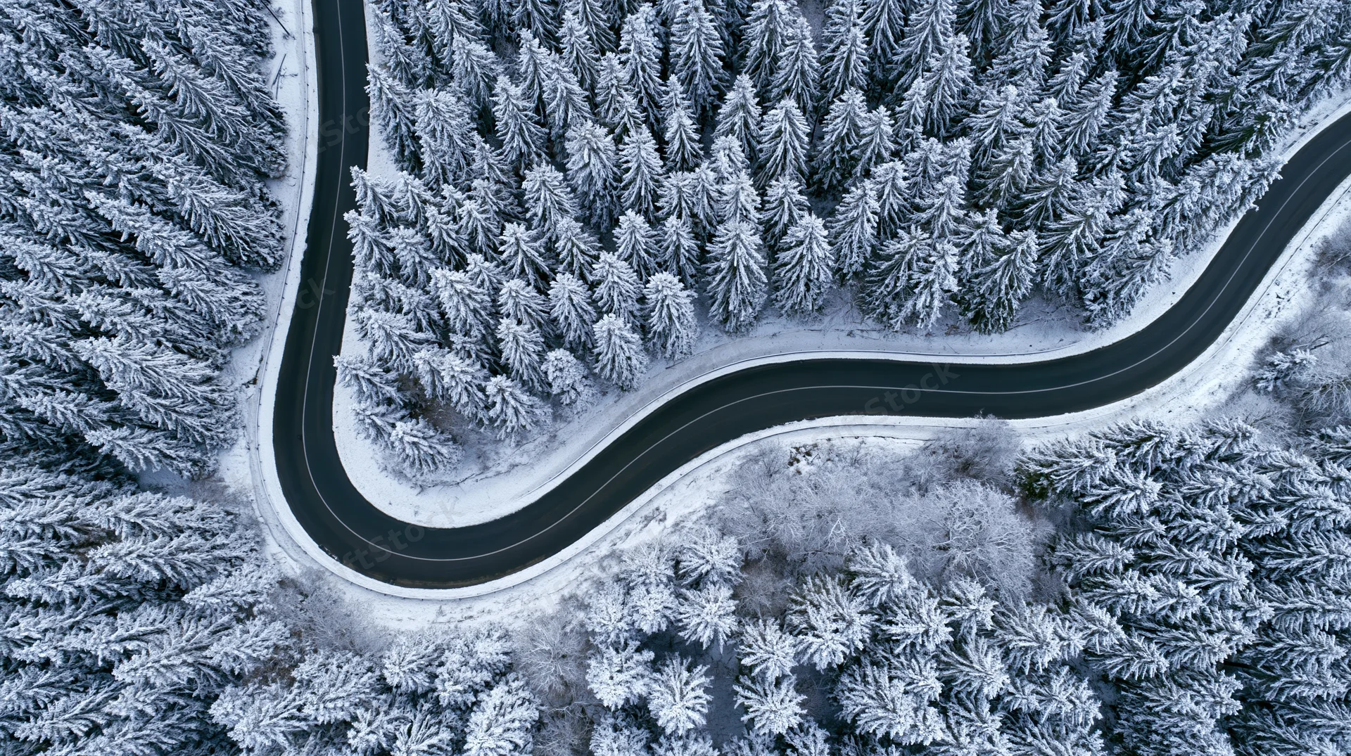 Winding asphalt road through snow-covered pine forest from aerial view