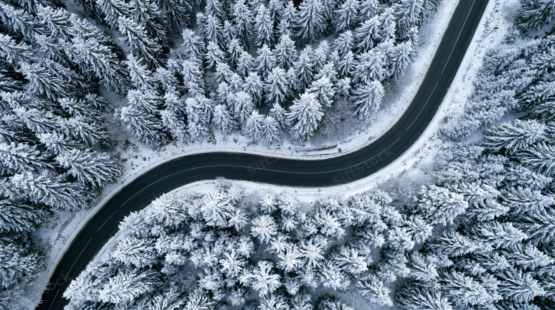 Winding road cutting through snow-covered pine forest from above