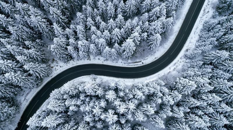 Winding road cutting through snow-covered pine forest from above