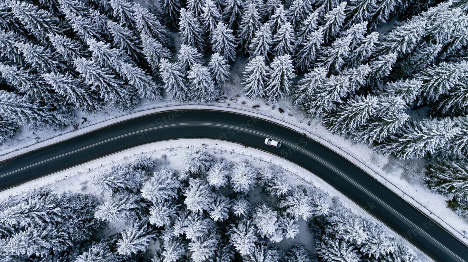 Aerial view of a winding road through a snow-covered pine forest with a car driving on it