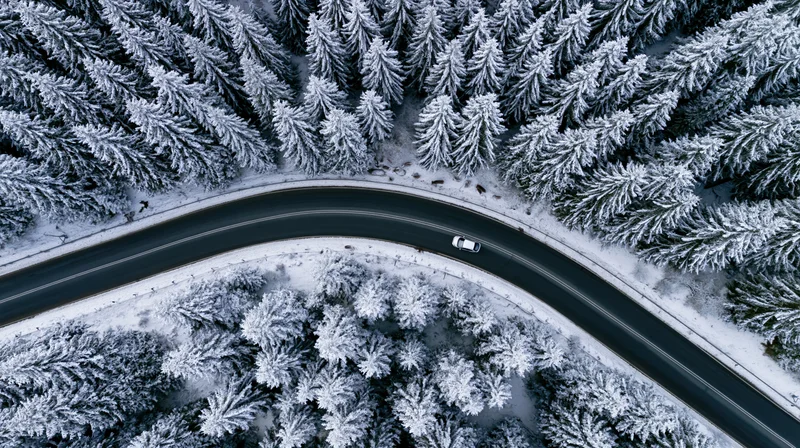 Aerial view of a winding road through a snow-covered pine forest with a car driving on it