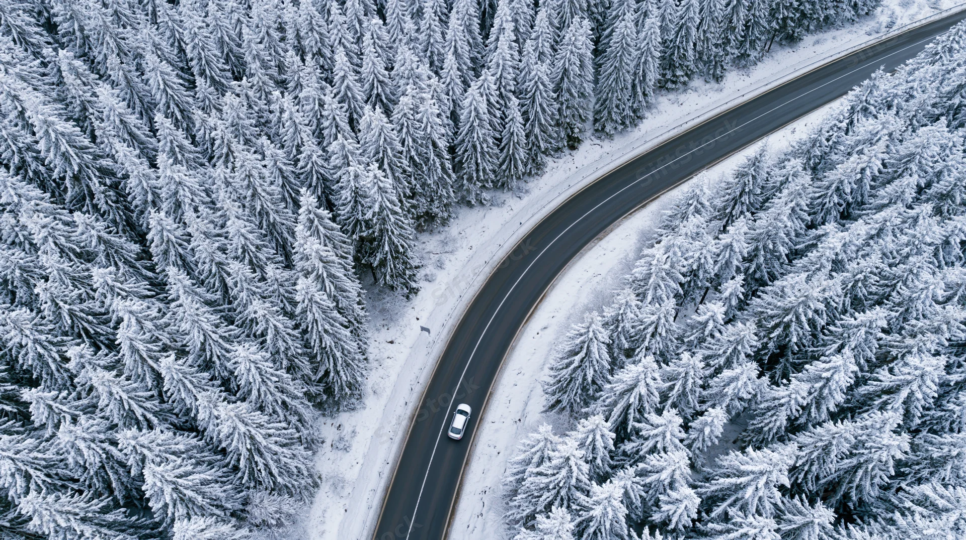 Aerial view of a winding road through a snow-covered pine forest with a car driving on it