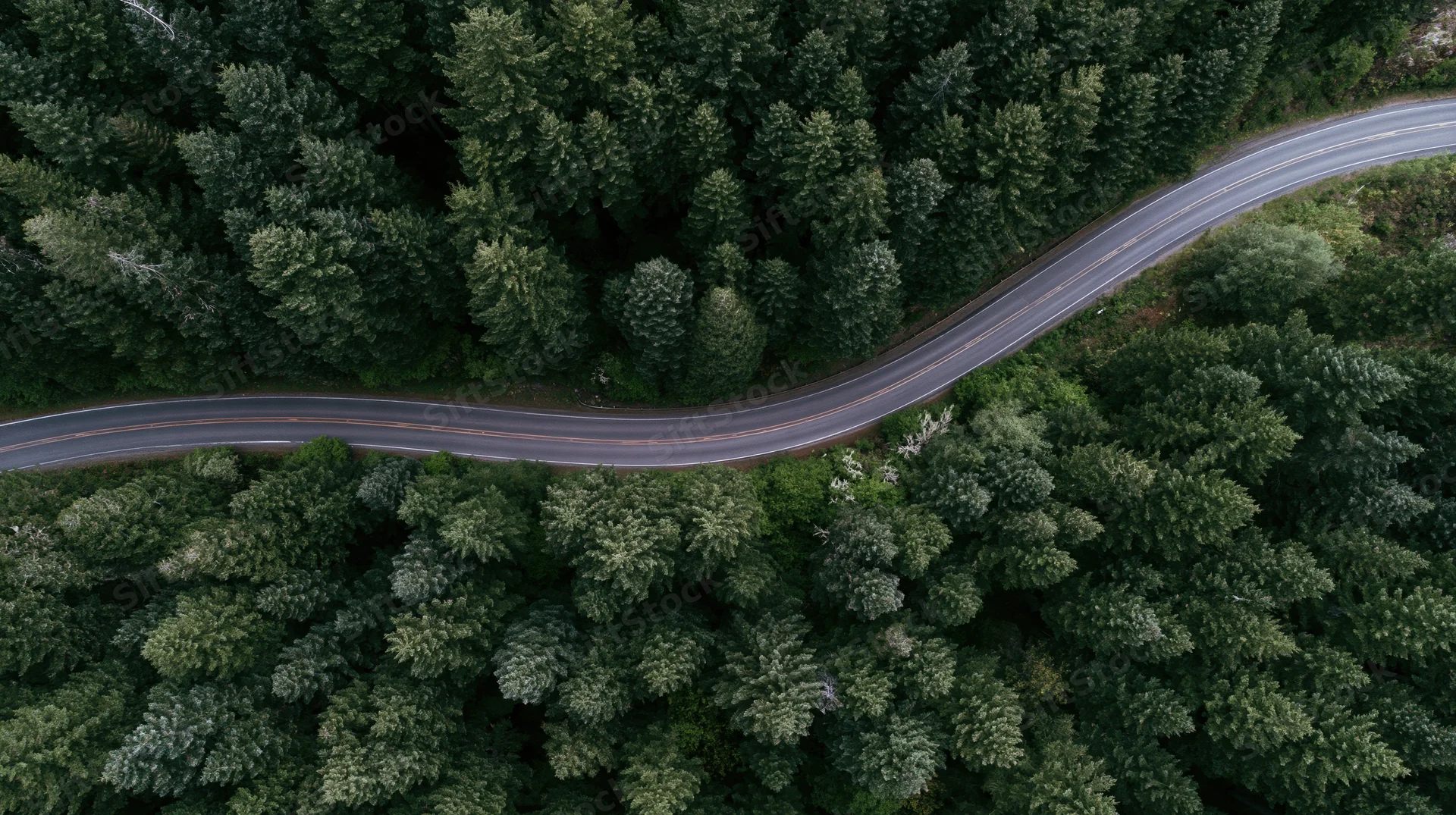 Aerial top-down view of a winding two-lane road through a dense forest