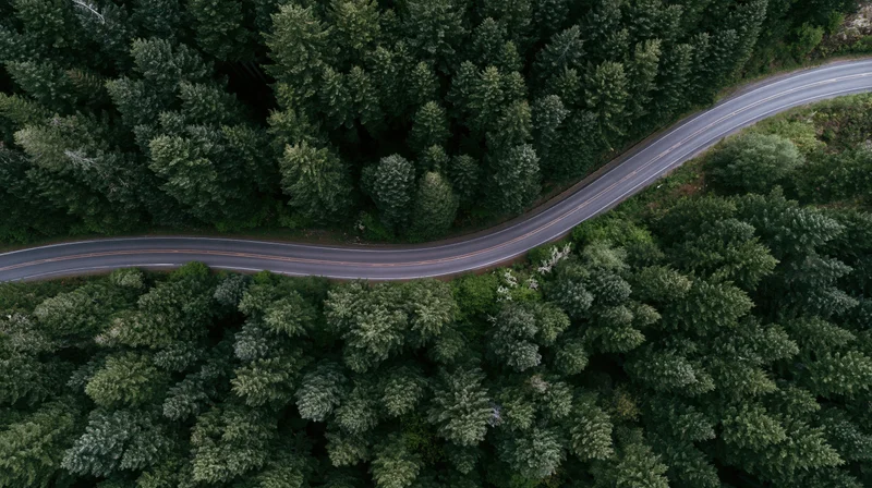 Aerial top-down view of a winding two-lane road through a dense forest