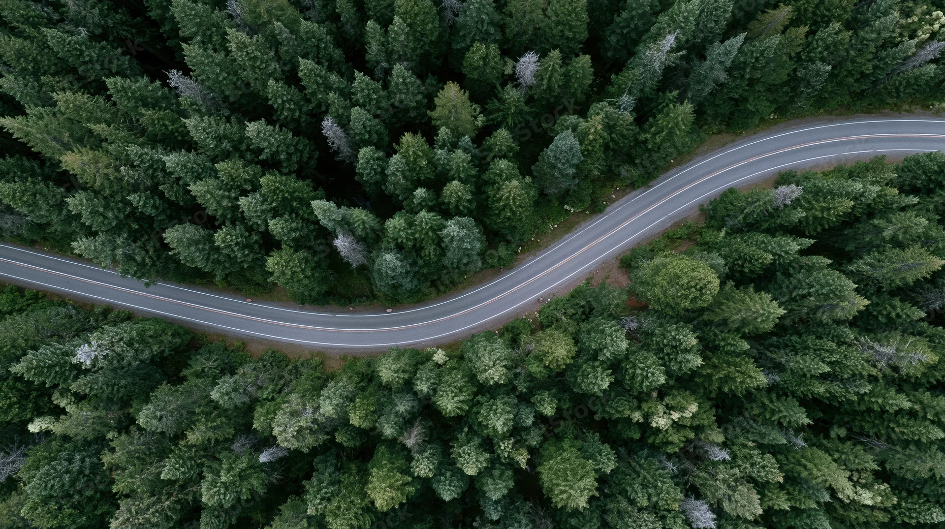 Aerial top-down view of a winding two-lane road through a dense forest