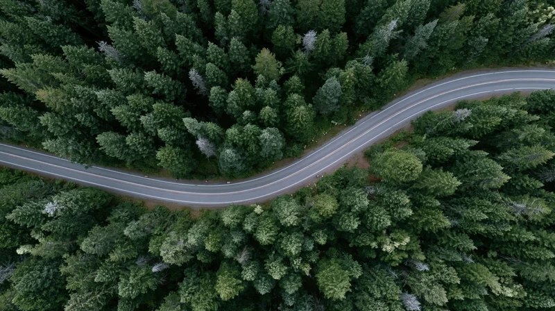 Aerial top-down view of a winding two-lane road through a dense forest