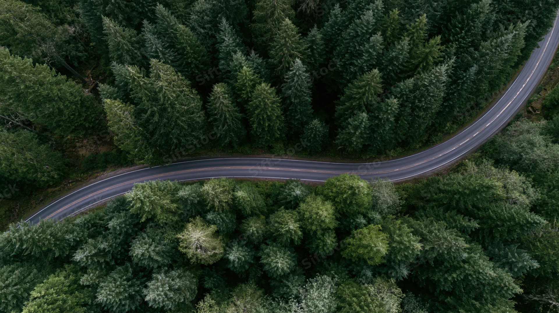 Aerial top-down view of a winding two-lane road through a dense evergreen forest