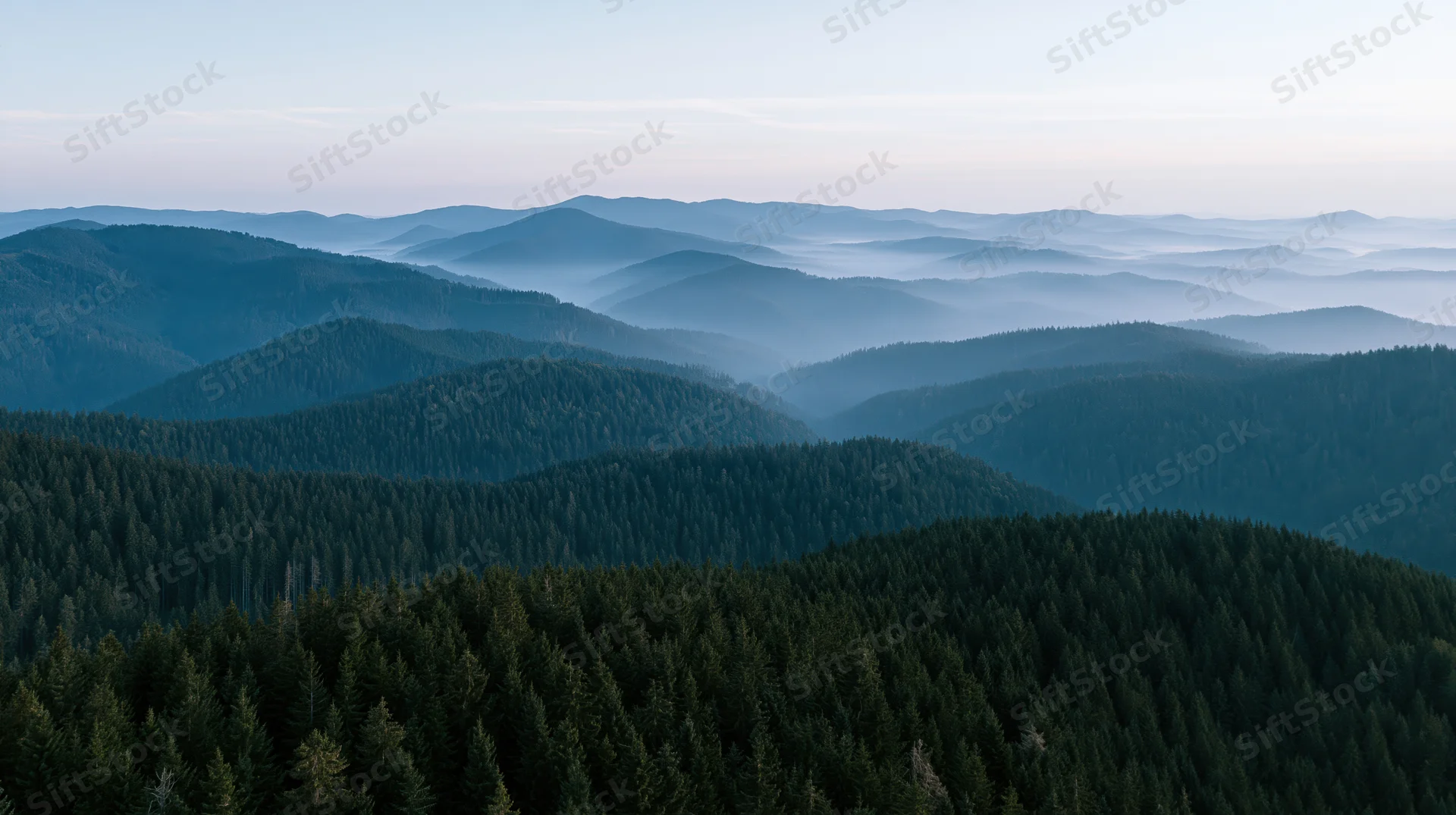 Aerial view of a vast conifer forest stretching across layered mountains under a misty sky